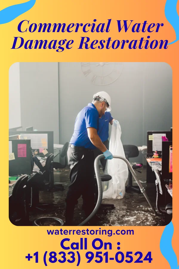 Commercial Water Damage Restoration in Wakefield, NE