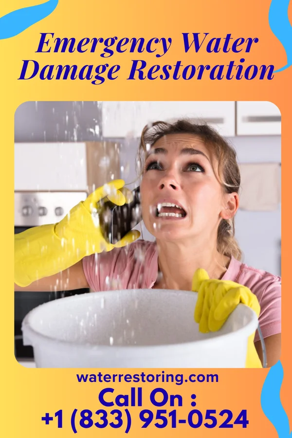 Emergency Water Damage Restoration in Wakefield, NE